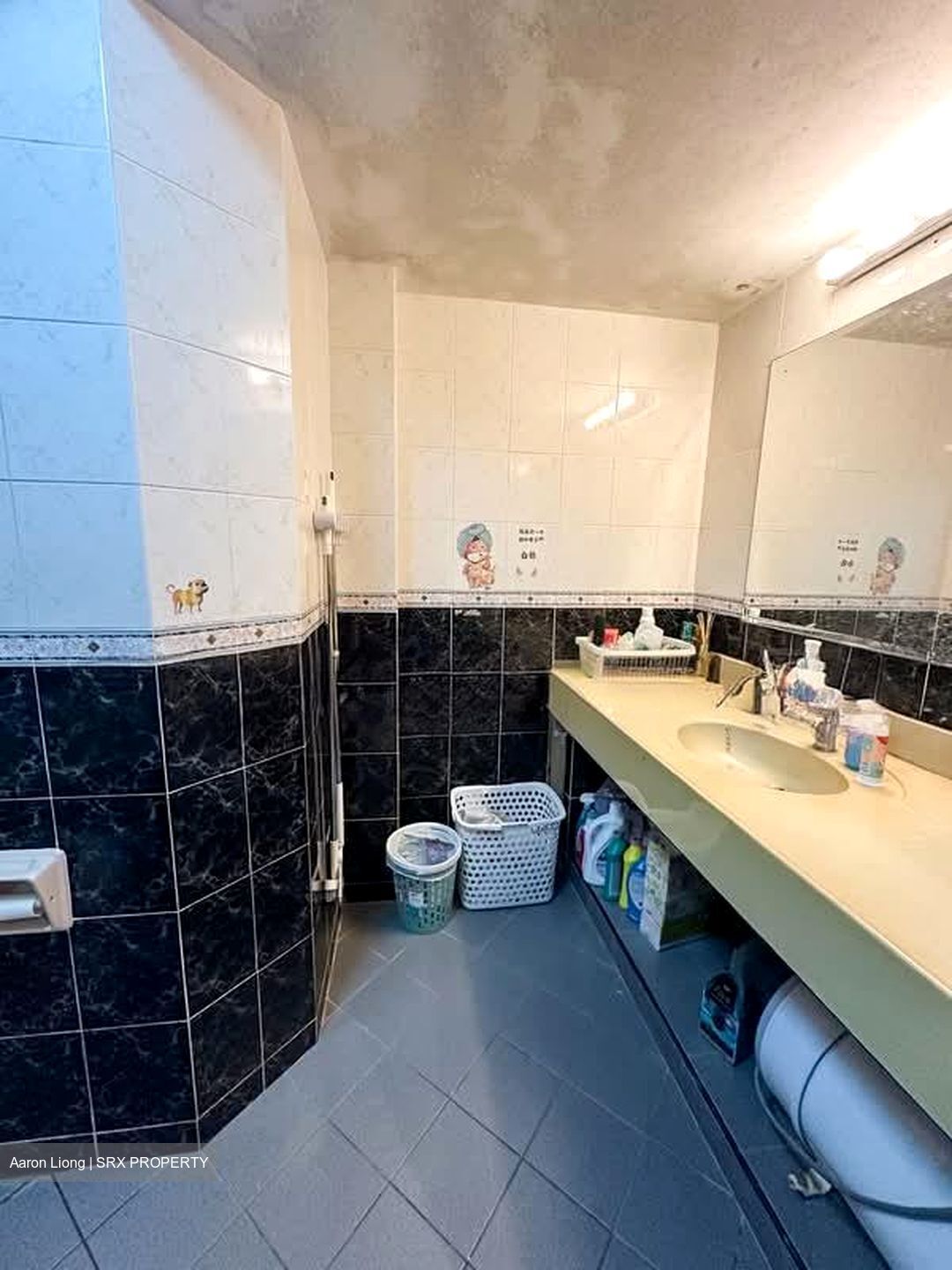Melville Park (D18), Condominium #550273631